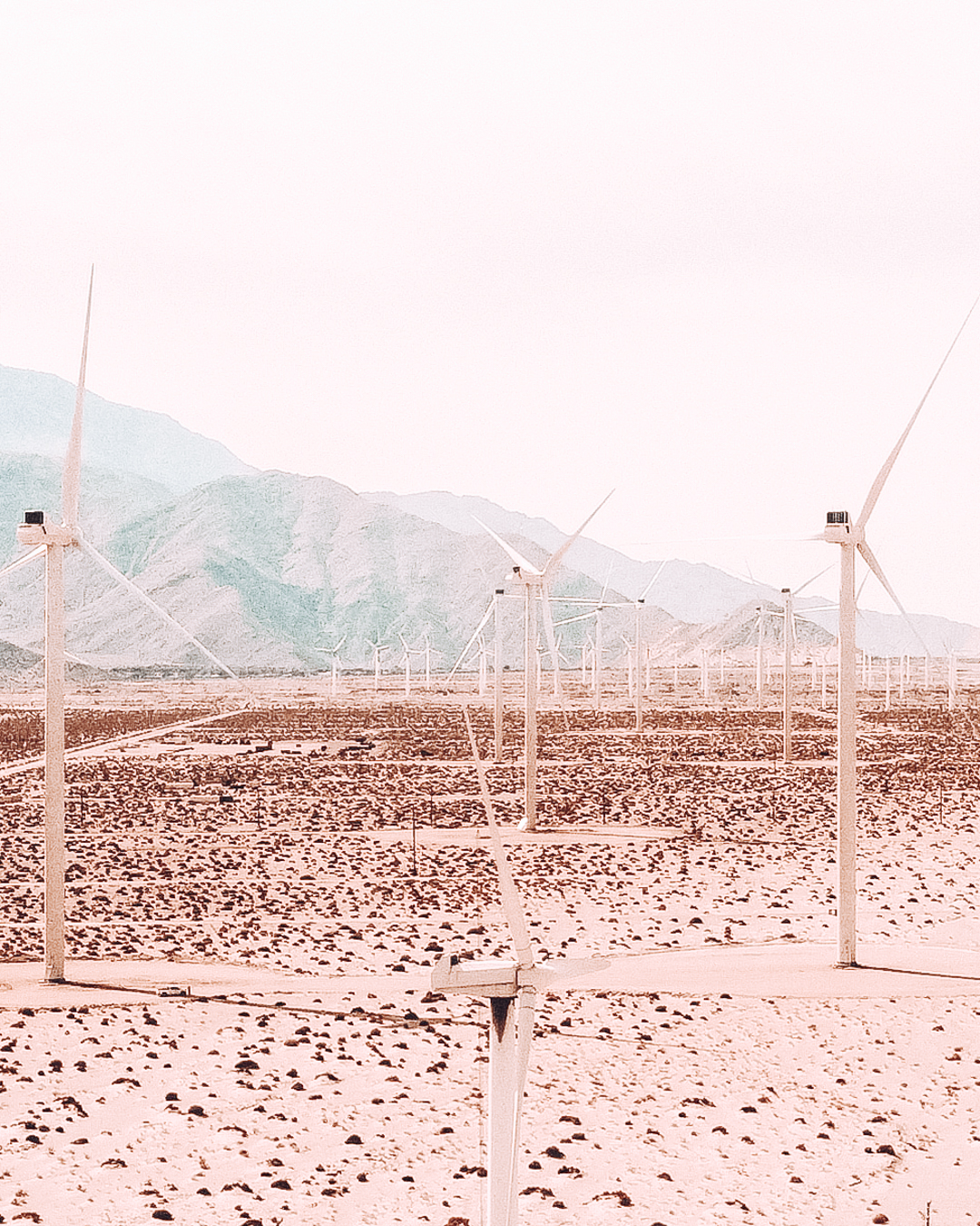 View of windmills and nature